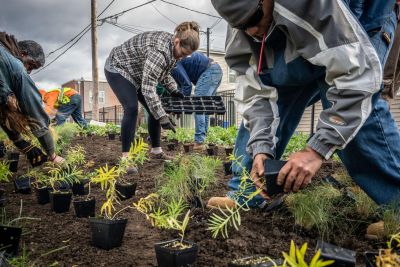 Five people planting a community garden
