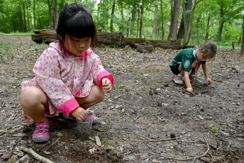 Two children collect leaves in the woods KSH 3685k